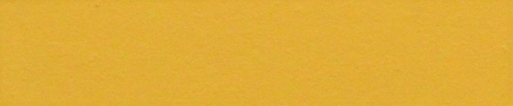 Gouda