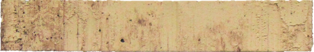 Atacama